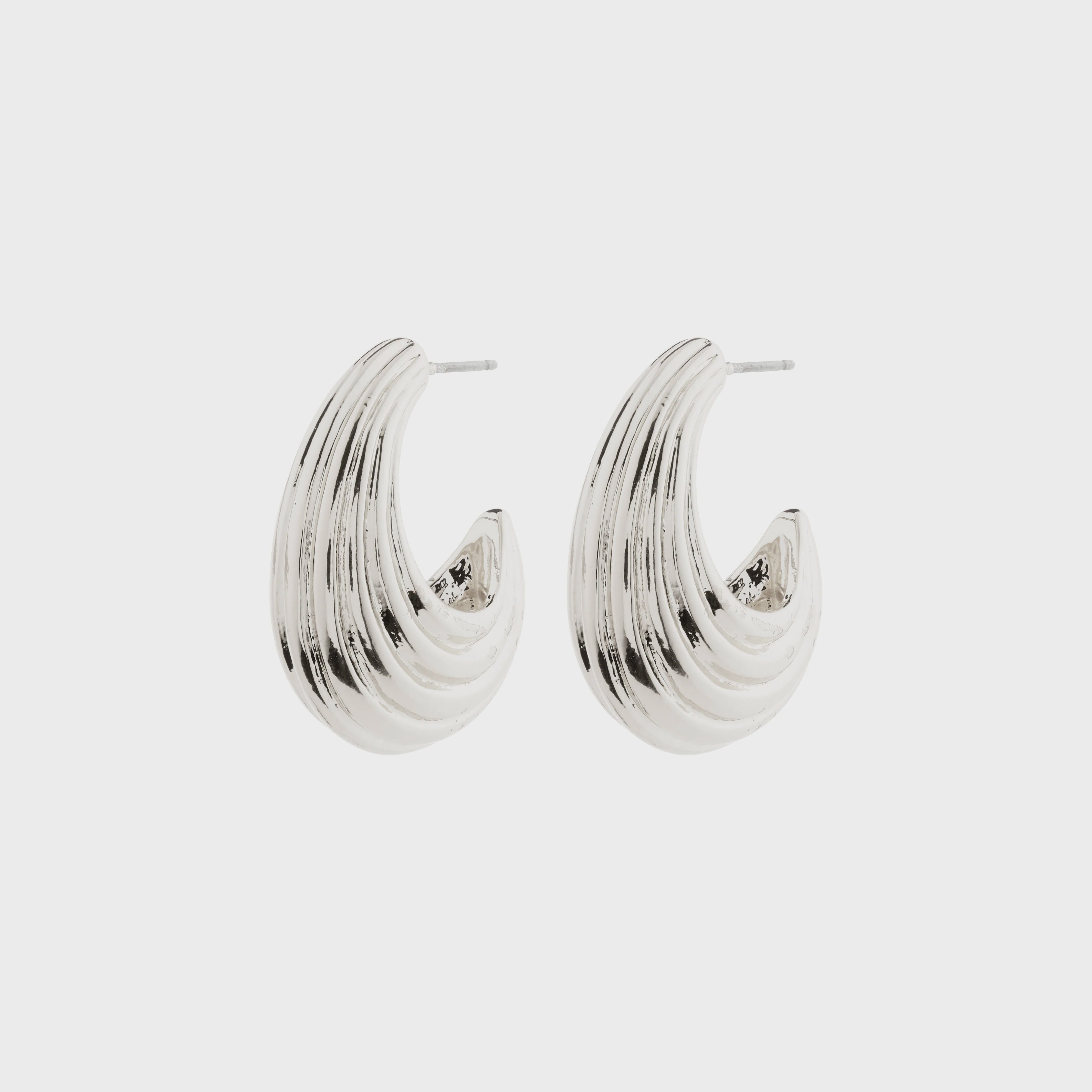 ASLE silver earrings, PILGRIM