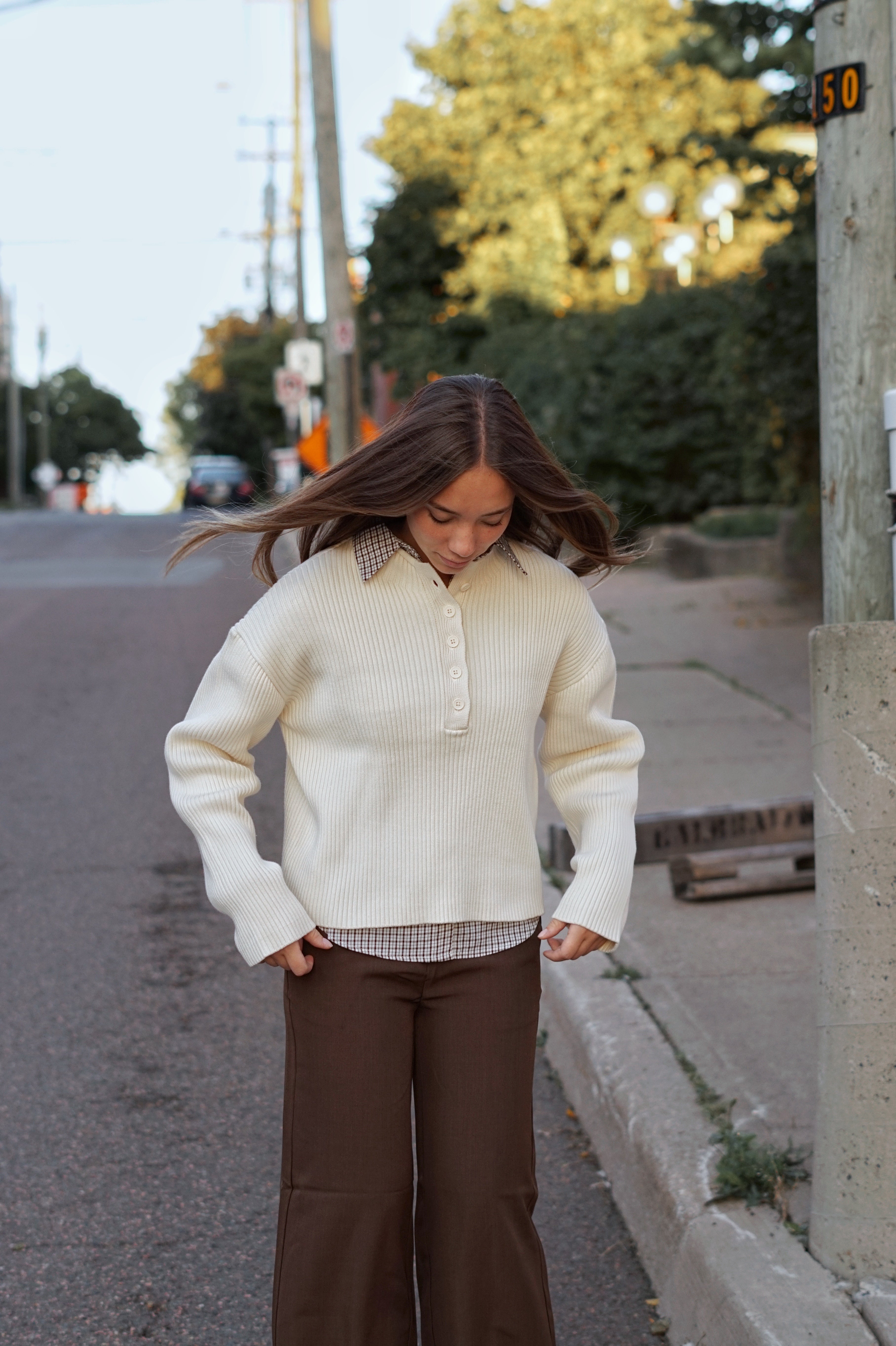 Hadley Button-Neck Sweater- birch