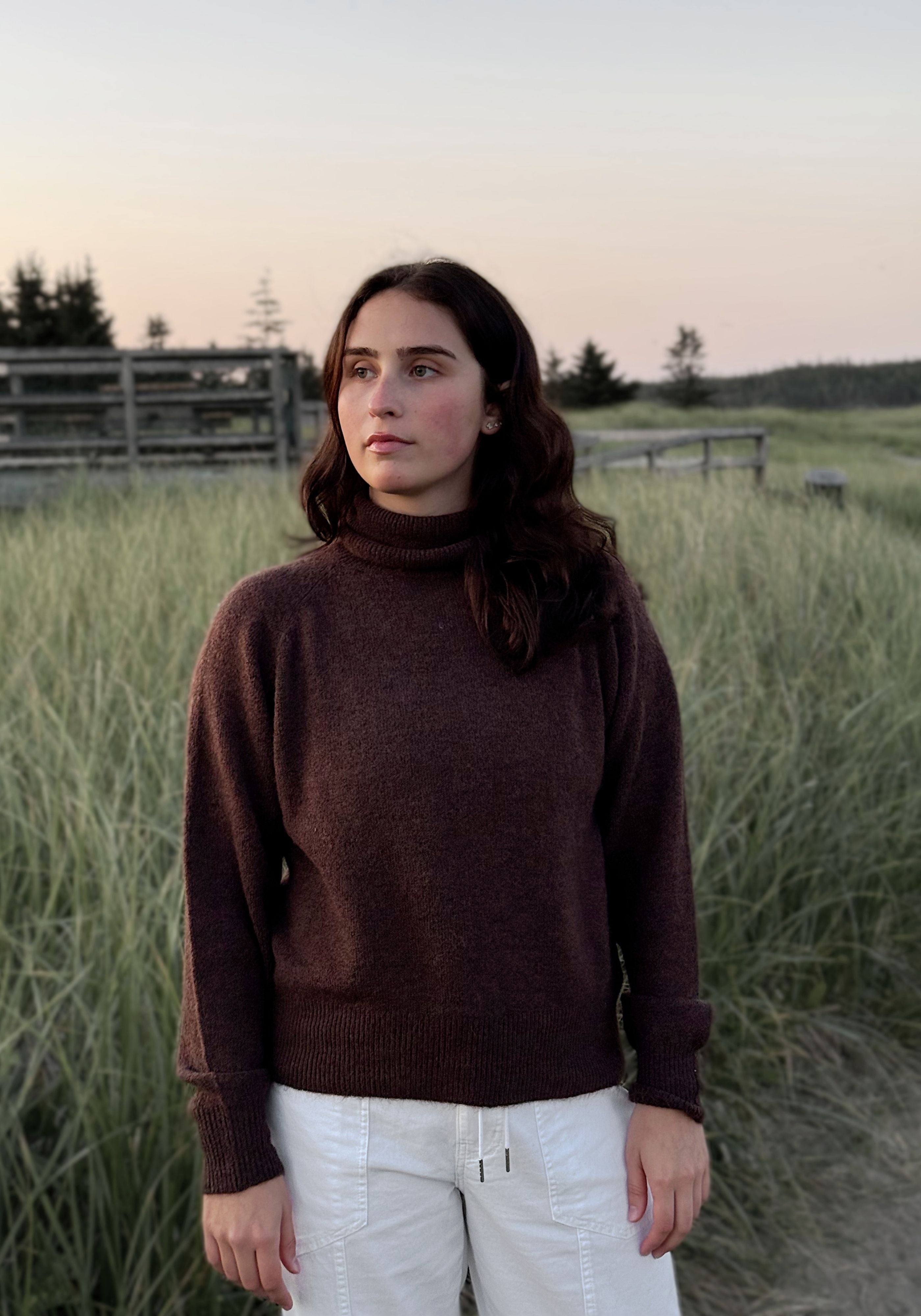 CLASSIC TURTLENECK (CHOCOLATE)