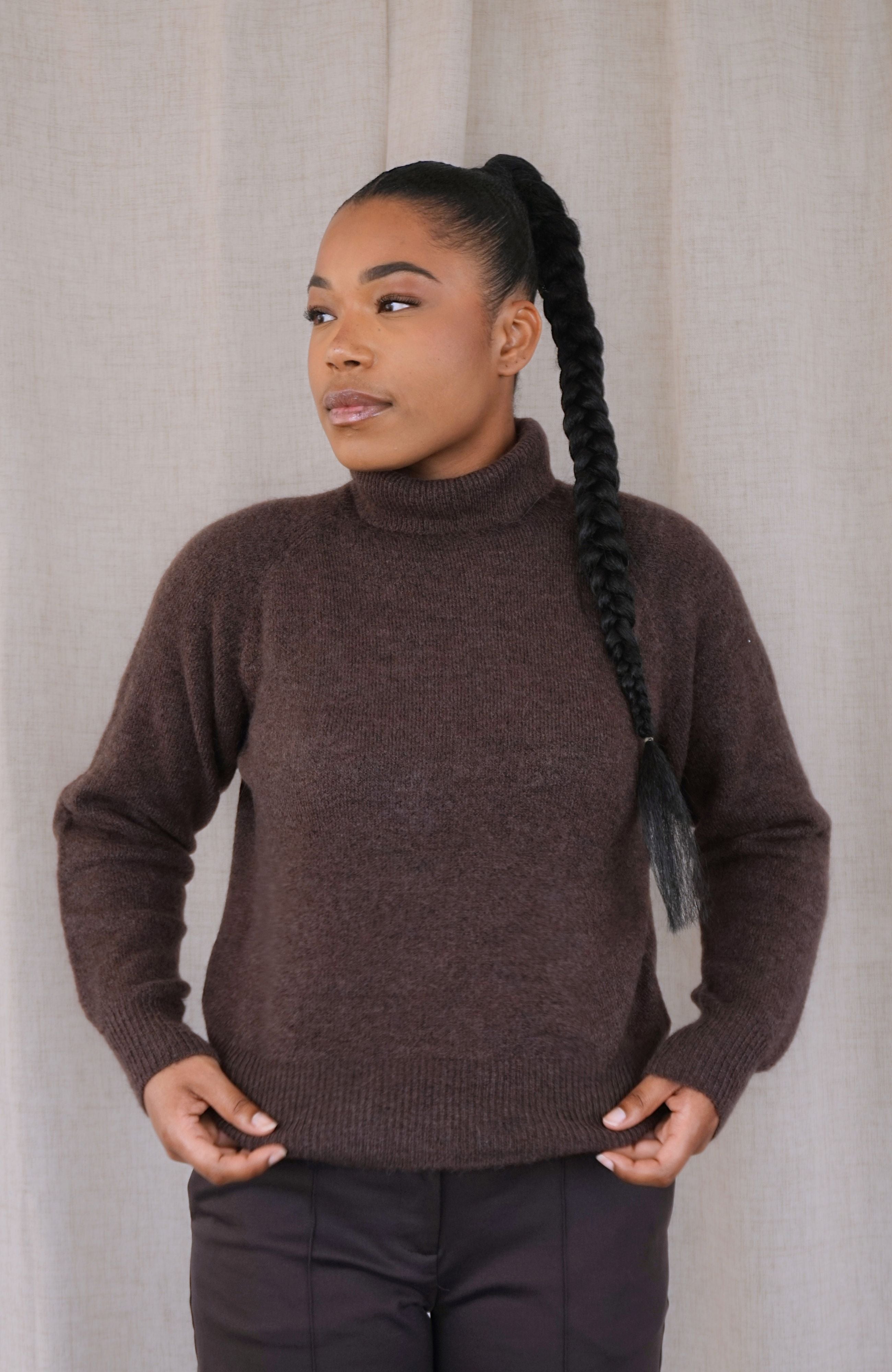 CLASSIC TURTLENECK (CHOCOLATE)