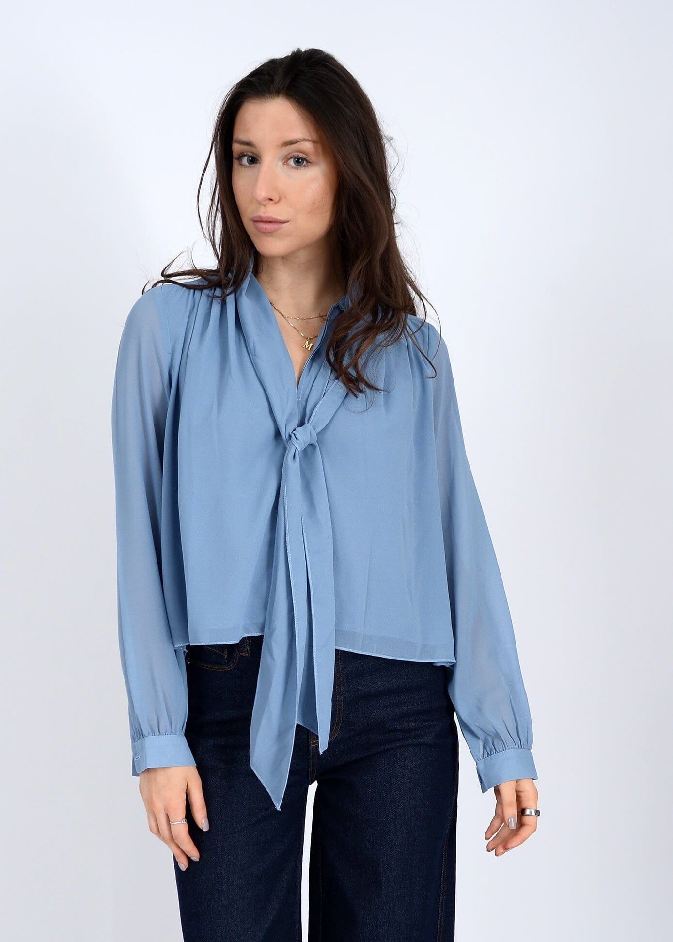 SAYLOR BLOUSE BLUE Top, RD STYLE, womens blue tie neck blouse, sheer sleeve blue top, flowy lightweight blouse outfit, soft blue blouse for women 