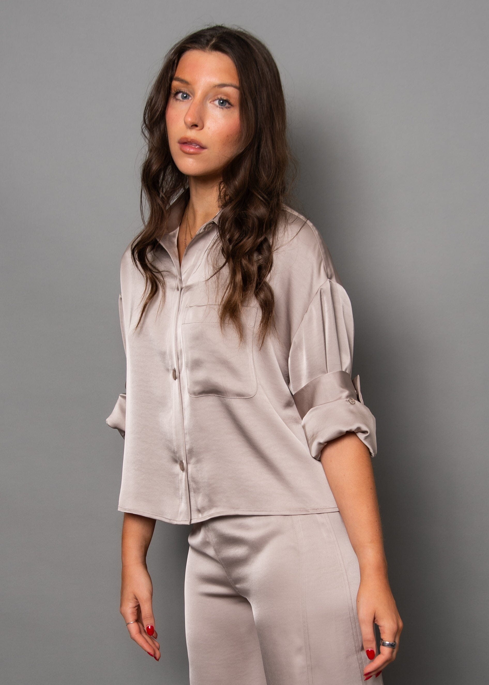 KERWIN TAUPE SILKY BLOUSE Top RD STYLE 