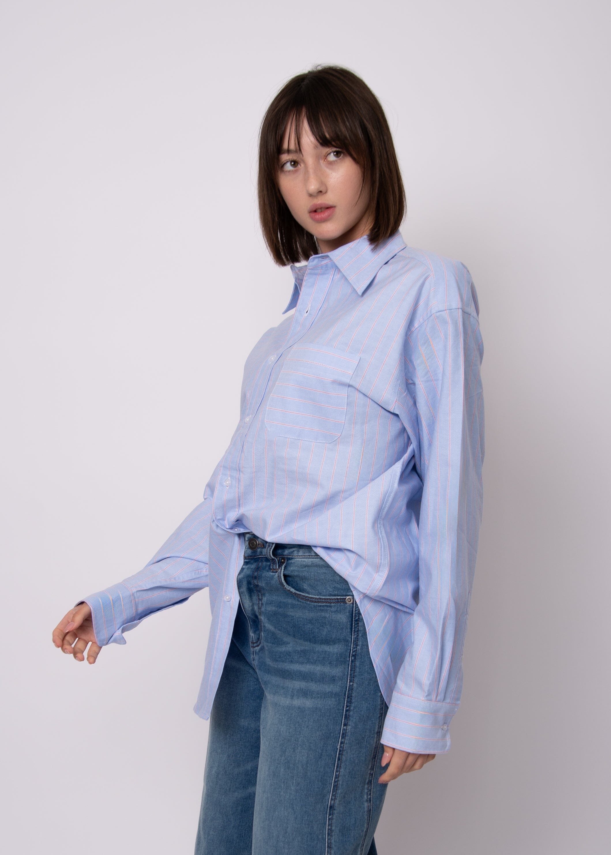 sky blue oxford shirt women, classic striped shirt women, everyday buttondown top, relaxed fit oxford shirt, womens striped blouse