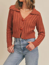 TOASTY COLLARED SWEATER Top SADIE AND SAGE 